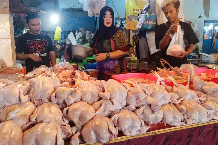 ini-penyebab-harga-ayam-dan-cabai-rawit-di-pasar-genteng-banyuwangi-tiba-tiba-melonjak-drastis