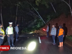 Hingga Awal Maret Sudah Digoyang 97 Bencana, BPBD Pacitan: Longsor Paling Sering – TIMES Banyuwangi
