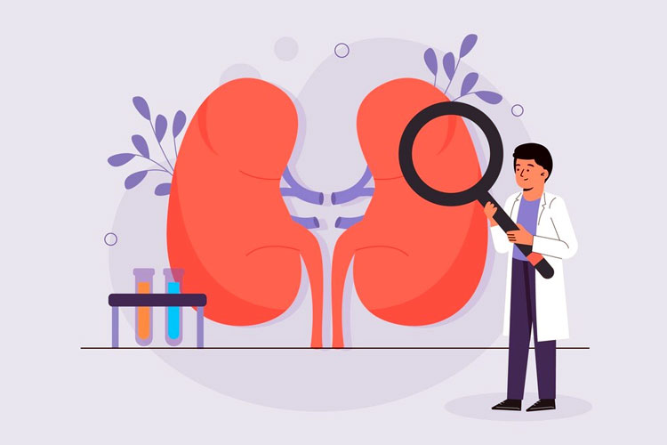 catat!-ini-perbedaan-ginjal-sehat-dan-tidak-sehat-–-times-banyuwangi