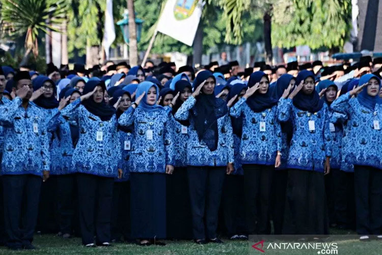 pengangkatan-cpns-dan-pppk-dijadwalkan-serentak-mulai-oktober-2025-–-times-banyuwangi