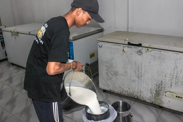 mitra-pemasok-susu-program-mbg-mundur.-apa-penyebabnya?-–-radar-banyuwangi