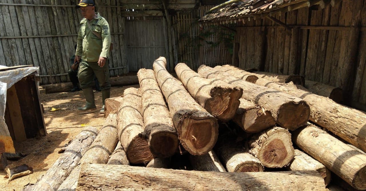 puluhan-glondong-kayu-jati-diduga-ilegal-ditemukan-di-gudang-misterius