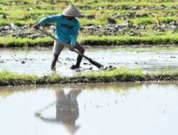 Ekonomi Banyuwangi Tumbuh 4,68 Persen – Radar Banyuwangi