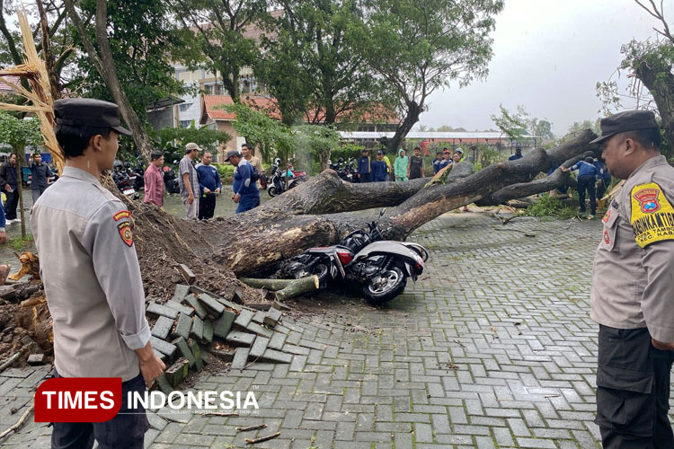 bmkg-prediksi-cuaca-ekstrem-landa-banyuwangi-hingga-23-maret-2025-–-times-banyuwangi