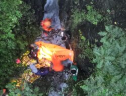 Seorang Lansia Ditemukan Meninggal Dunia di Hutan Banyuwangi Setelah Hilang Saat Berkebun