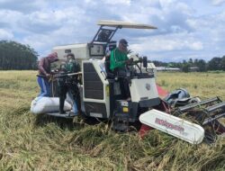 Sinergi TNI dan Bulog, Serapan Gabah Petani Watukebo Berjalan Lancar