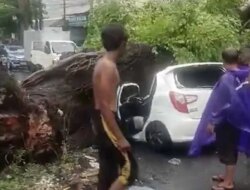 Mobil Tertimpa Pohon Tumbang di KutaBali, Seorang Pengendara Tewas – Radar Banyuwangi