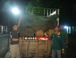 Polisi Amankan Truk Bermuatan Kayu Jati Ilegal di Jalan Desa Alasbuluh, Sopir Melarikan Diri