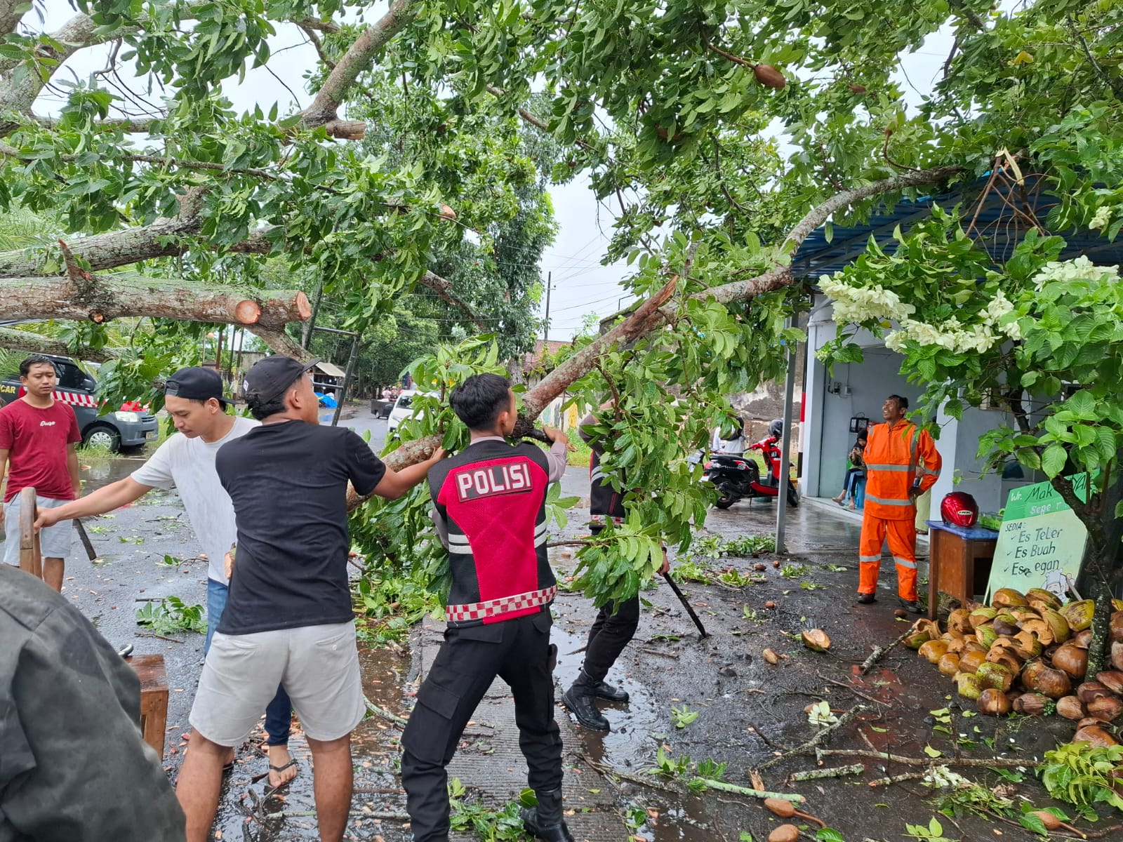 respon-cepat-polresta-banyuwangi-bantu-evakuasi-pohon-tumbang