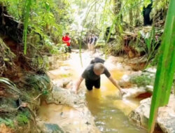 Petualangan Seru di Hutan Juata Kerikil Tarakan – TIMES Banyuwangi