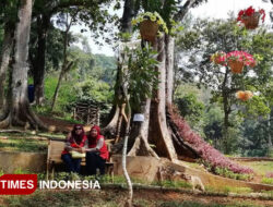 Di Balik Lesunya Wisata Lokal, Ini Pandangan Aktivis Kota Banjar – TIMES Banyuwangi