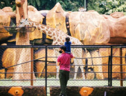 Libur Lebaran 2025, 72 Ribu Wisatawan Padati KBS dan Diprediksi Terus Bertambah – TIMES Banyuwangi