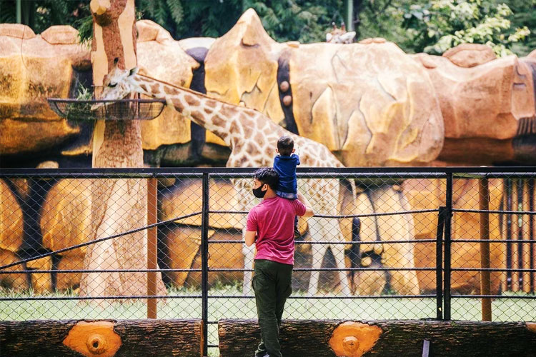 libur-lebaran-2025,-72-ribu-wisatawan-padati-kbs-dan-diprediksi-terus-bertambah-–-times-banyuwangi