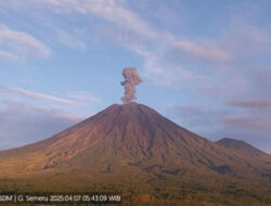 Gunung Semeru Erupsi, Pendakian Dilarang di Zona Berbahaya – TIMES Banyuwangi