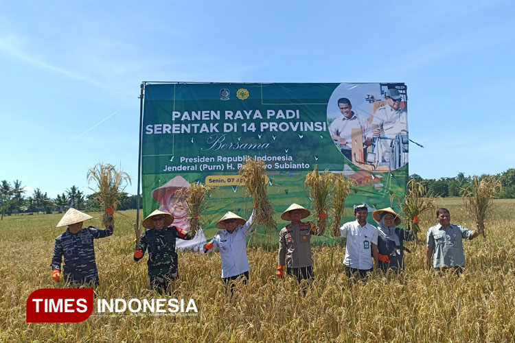 panen-raya-padi-serentak-di-14-provinsi,-produksi-gkg-banyuwangi-capai-2.385-ton-–-times-banyuwangi