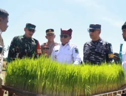 Banyuwangi Ikuti Panen Raya Padi Serentak, Dukungan Program Swasembada Pangan Presiden