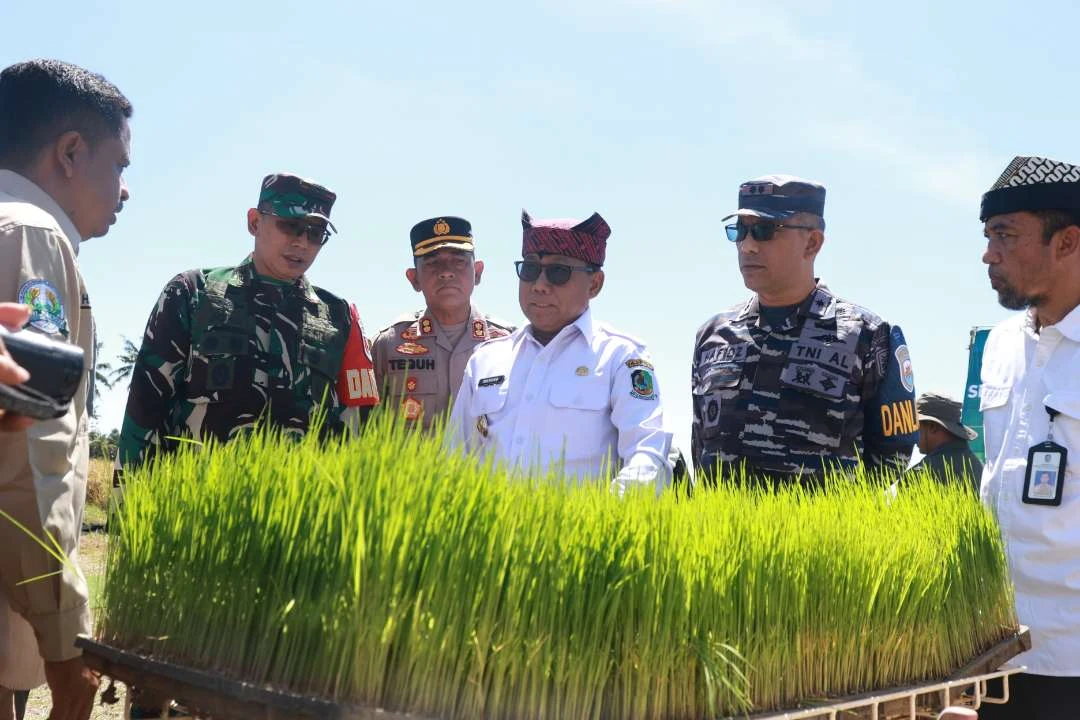 banyuwangi-ikuti-panen-raya-padi-serentak,-dukungan-program-swasembada-pangan-presiden