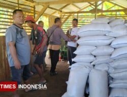 Inspiratif, Warga Pangandaran Dirikan Rumah Kompos untuk Pertanian Berkelanjutan – TIMES Banyuwangi