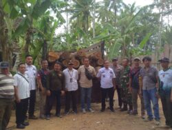 Polhutmob dan Polisi Kembali Amankan Glondongan Kayu Jati Diduga Ilegal di Kecamatan Bangorejo