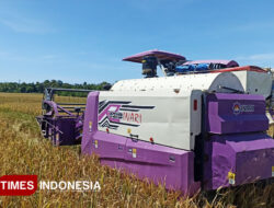 Banyuwangi Genjot Swasembada Pangan, Targetkan 800 Ribu Ton – TIMES Banyuwangi