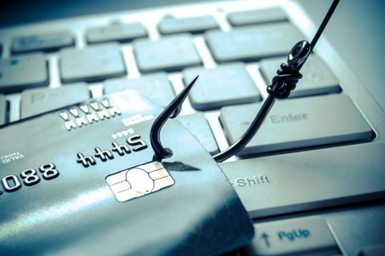 waspada-serangan-phishing:-cara-mengenali-dan-menghindarinya-–-times-banyuwangi