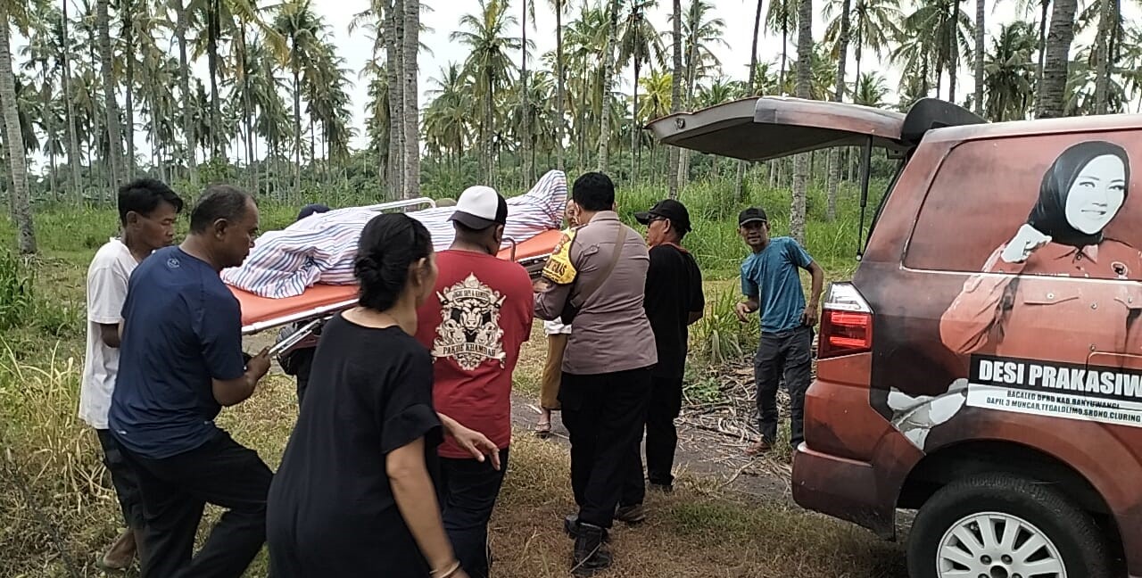 alami-kepikunan-lansia-di-muncar-ditemukan-meninggal-di-kebun-kelapa