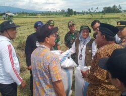 Bulog Banyuwangi Temui Petani Bajulmati, Tegaskan Penyerapan Gabah Sesuai Harga Pemerintah