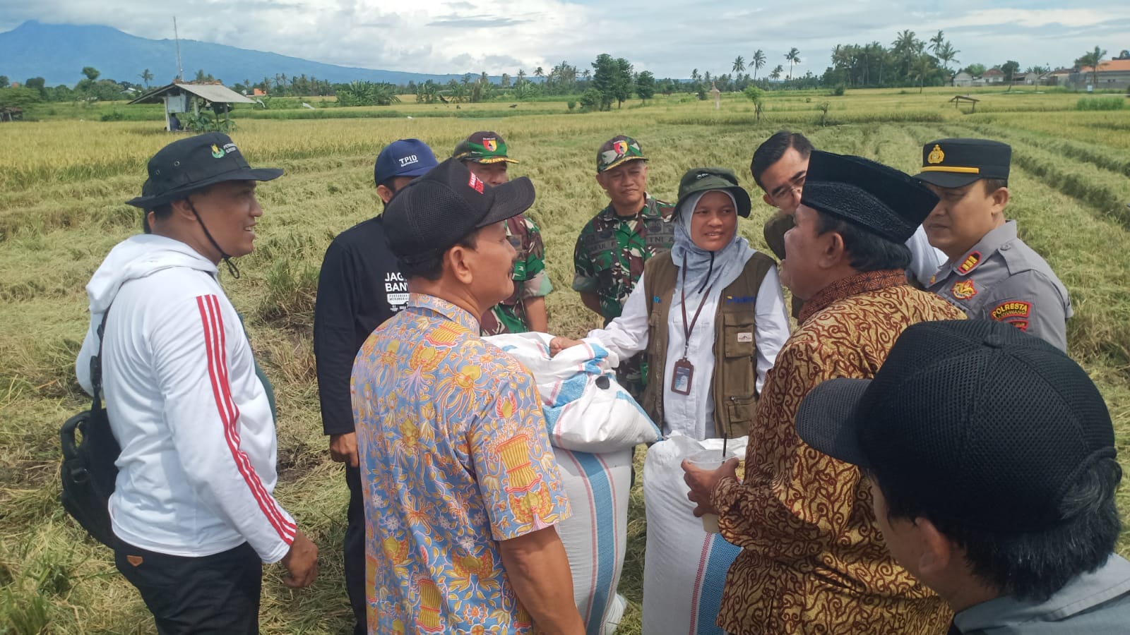 bulog-banyuwangi-temui-petani-bajulmati,-tegaskan-penyerapan-gabah-sesuai-harga-pemerintah