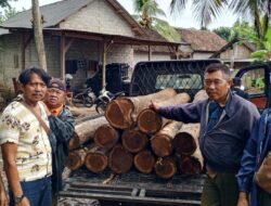 Polhutmob dan Polisi Amankan 14 Glondong Kayu Jati Diduga Ilegal