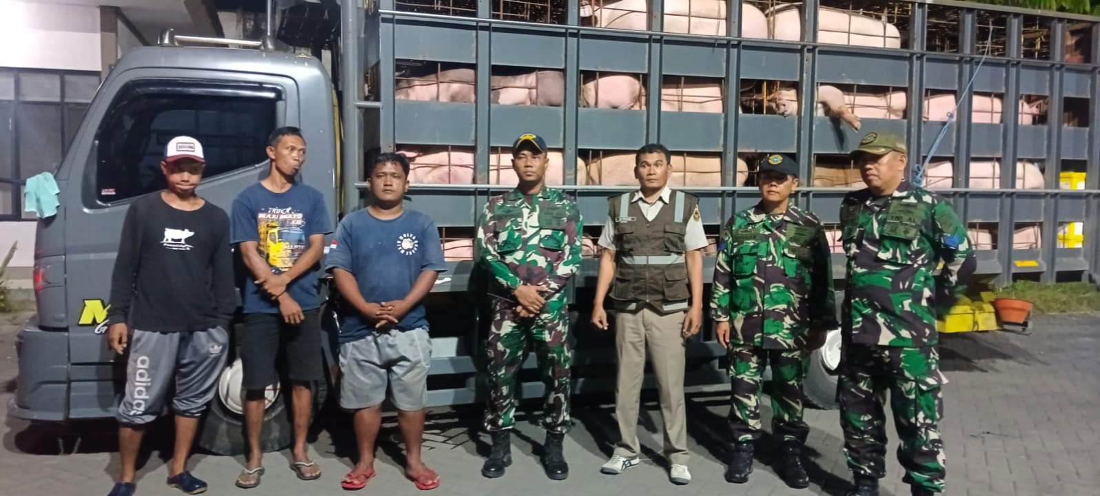 truk-pengangkut-babi-ilegal-dari-bali-diamankan-di-pelabuhan-ketapang