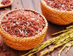 Ingin Hidup Sehat? Coba Konsumsi Beras Merah yang Kaya Nutrisi dan Manfaat – TIMES Banyuwangi