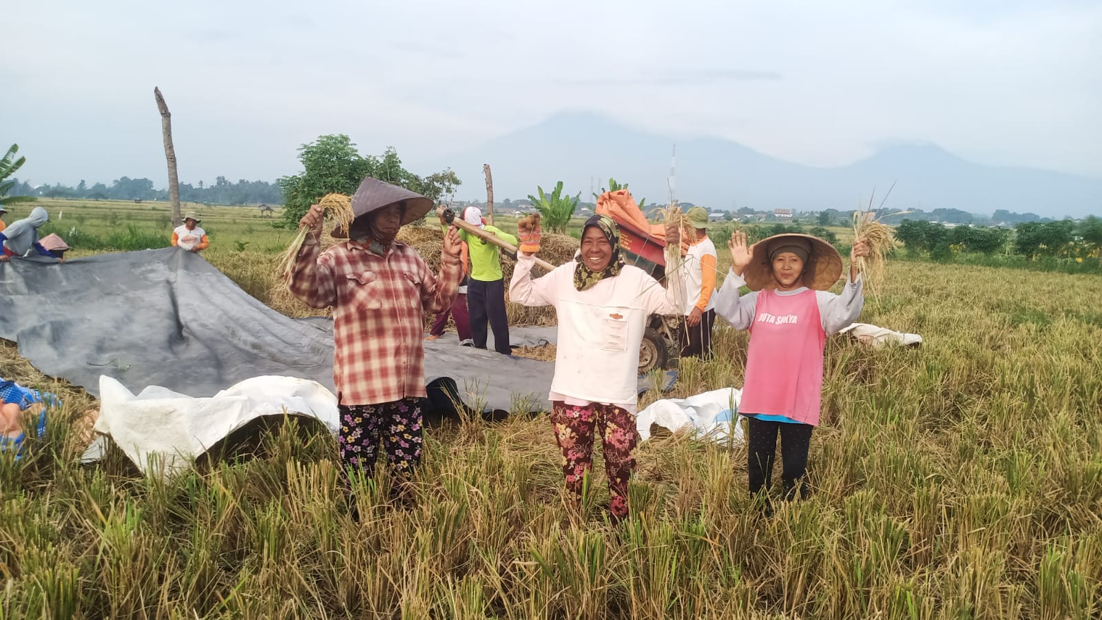 panen-padi,-berkah-emak-emak-tukang-ngasak-di-bajulmati