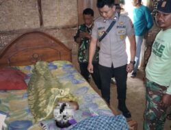 Saat Memanen Jagung Pria Asal Wongsorejo Tersambar Petir