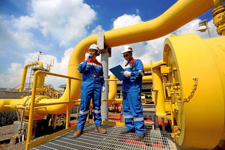 pgn-ptba-kerja-sama-kembangkan-gasifikasi-batu-bara-jadi-sng-–-times-banyuwangi