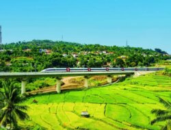 Kenapa Kereta Cepat Whoosh Jadi Pilihan Utama Wisatawan Asing? Simak Fakta Menariknya