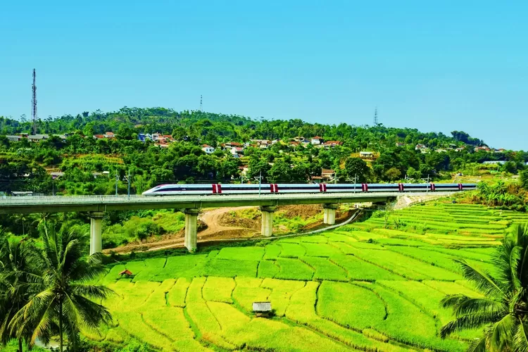 kenapa-kereta-cepat-whoosh-jadi-pilihan-utama-wisatawan-asing?-simak-fakta-menariknya