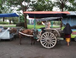 Zaman Ini Masih Ada Roda Kayu? Inovasi Kuno Ini Ternyata Mengubah Peradaban Manusia
