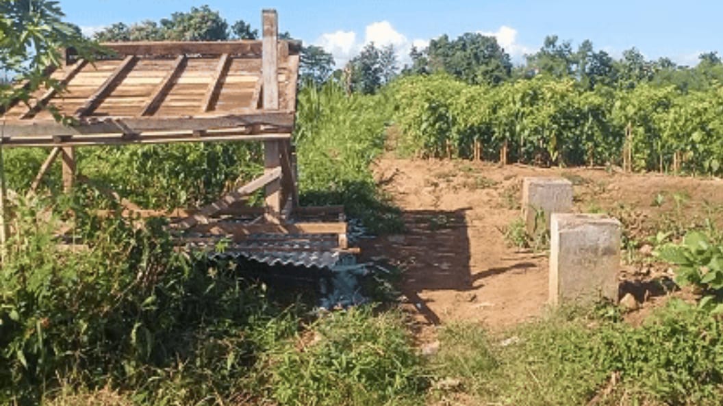 gubuk-petani-di-sidodadi-dirobohkan-orang-tak-dikenal,-warga-resah
