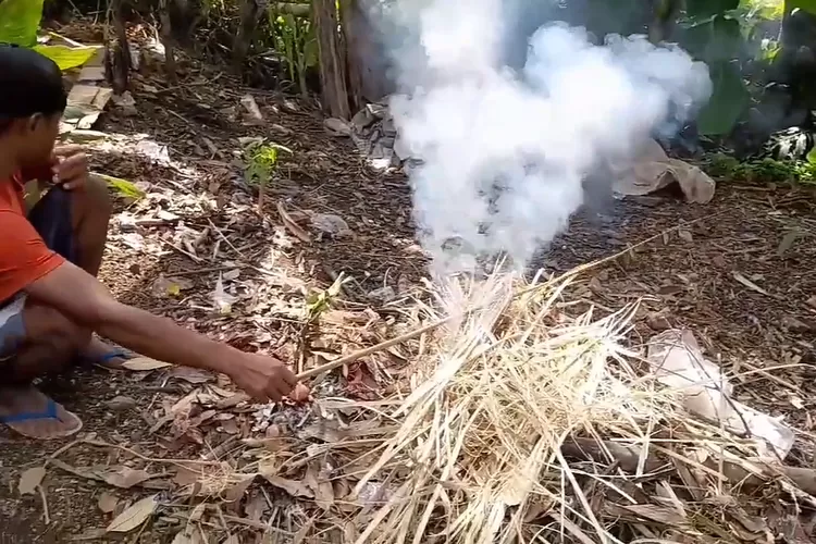 4-jenis-bambu-ini-cocok-untuk-joran-pancing,-mana-yang-biasanya-kamu-pakai?