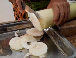7 Manfaat Batang Pisang, Potensi Tersembunyi yang Kaya Manfaat
