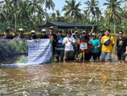Implementasikan Program Kampus Berdampak, UNIRA Malang Gelar Aksi Tanam Mangrove – TIMES Banyuwangi