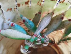 Uniknya Umpan Pancing Cumi-Cumi, Berbeda dari Pancing Ikan Lainnya, Begini Bentuknya