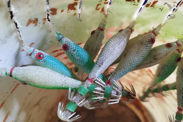 uniknya-umpan-pancing-cumi-cumi,-berbeda-dari-pancing-ikan-lainnya,-begini-bentuknya