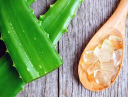 Cara Alami dan Aman Mengatasinya Kutil – TIMES Banyuwangi