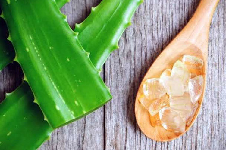 cara-alami-dan-aman-mengatasinya-kutil-–-times-banyuwangi