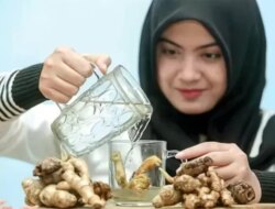 Jahe Tanaman Rimpang Ini dan Segudang Manfaatnya untuk Kesehatan Tubuh