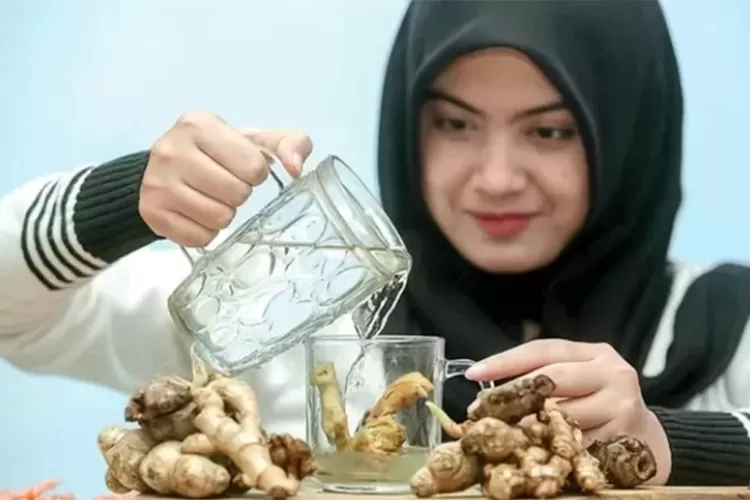 jahe-tanaman-rimpang-ini-dan-segudang-manfaatnya-untuk-kesehatan-tubuh