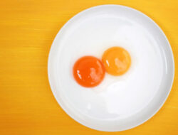 Apa Arti Warna Kuning Telur? Ini Fakta di Baliknya – TIMES Banyuwangi