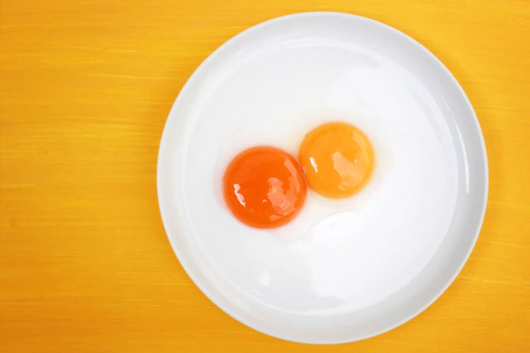 apa-arti-warna-kuning-telur?-ini-fakta-di-baliknya-–-times-banyuwangi