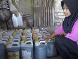 Kencing Kambing Disulap Jadi Cuan, Inovasi Ubah Limbah Jadi Berkah
